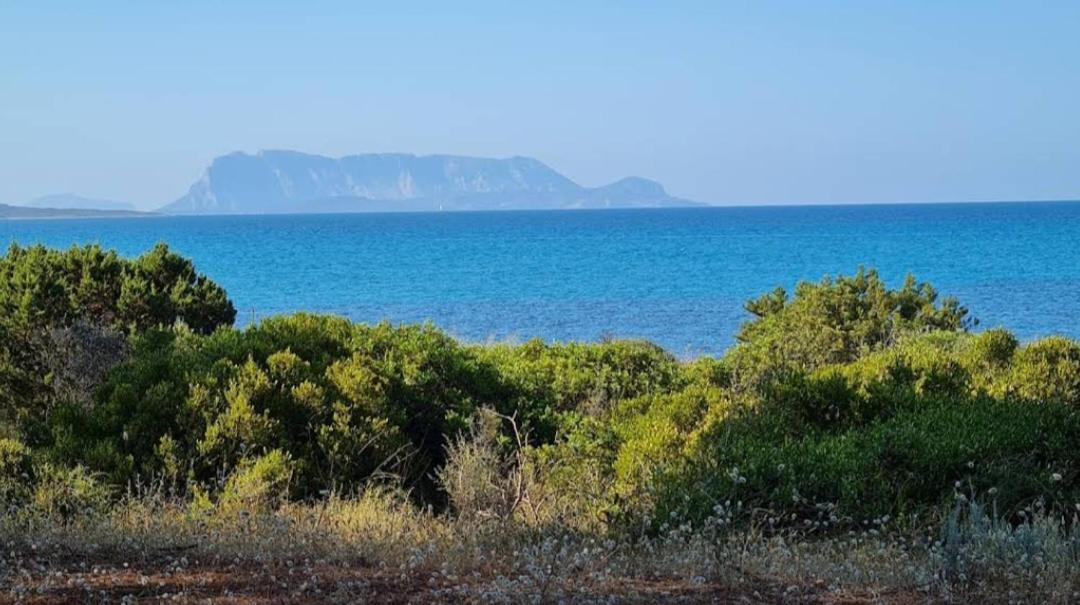 Casa Salvo Διαμέρισμα Budoni Εξωτερικό φωτογραφία
