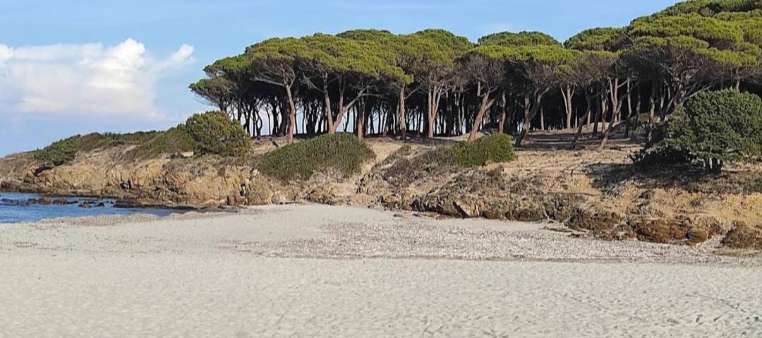 Casa Salvo Διαμέρισμα Budoni Εξωτερικό φωτογραφία